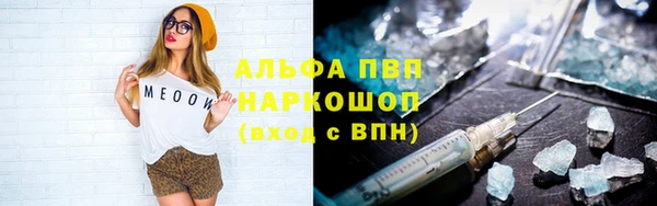 индика Володарск