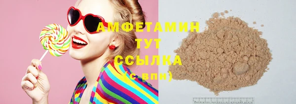 индика Володарск