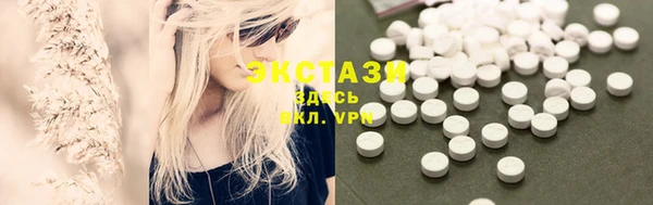 индика Володарск