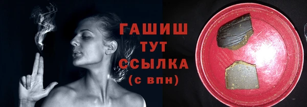 индика Володарск