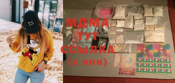 индика Володарск