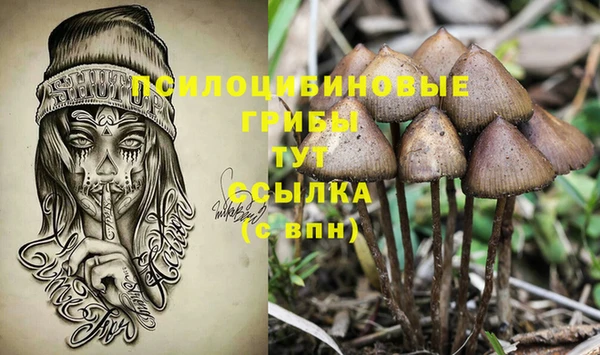 индика Володарск