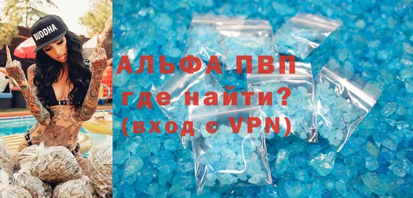 индика Володарск
