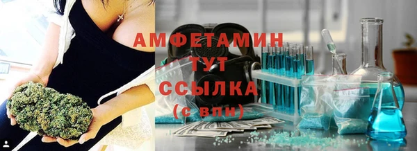 индика Володарск