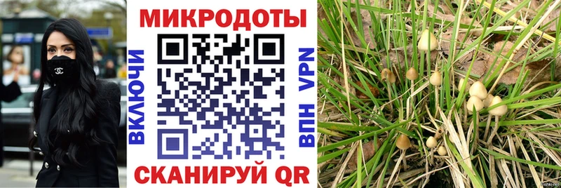 купить наркоту  Высоковск  гидра маркетплейс  Галлюциногенные грибы MAGIC MUSHROOMS 